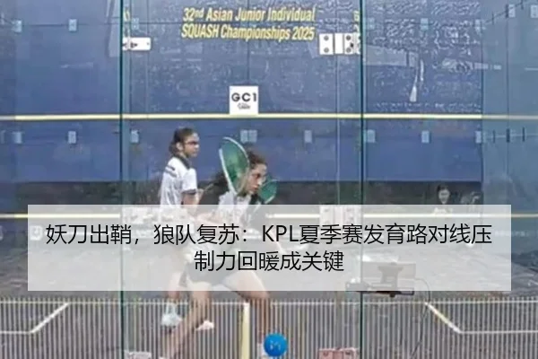 妖刀出鞘，狼队复苏：KPL夏季赛发育路对线压制力回暖成关键
